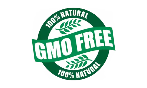 GumAktiv GMO Free